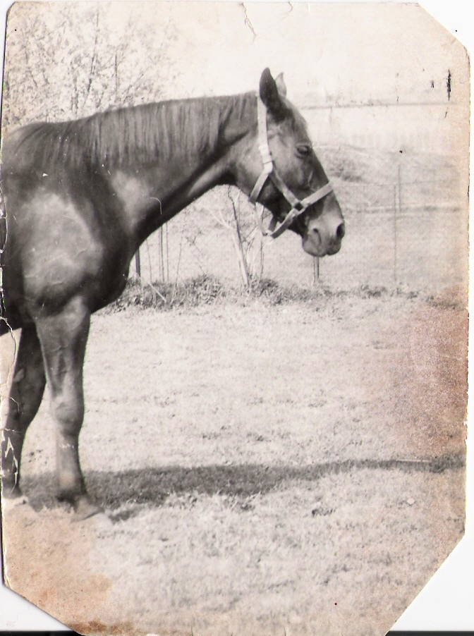 Flóra1.jpg