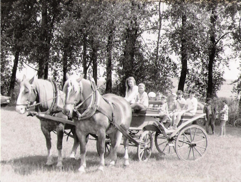 póla a paseka.jpg