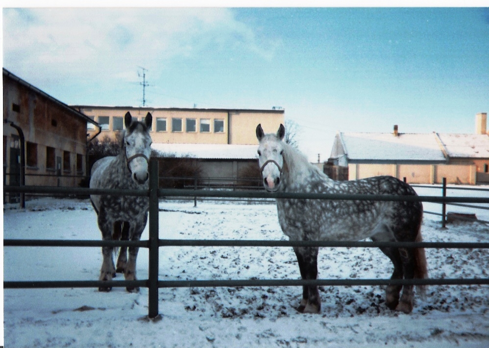 Chantal,Charlota - květa,míla.jpg