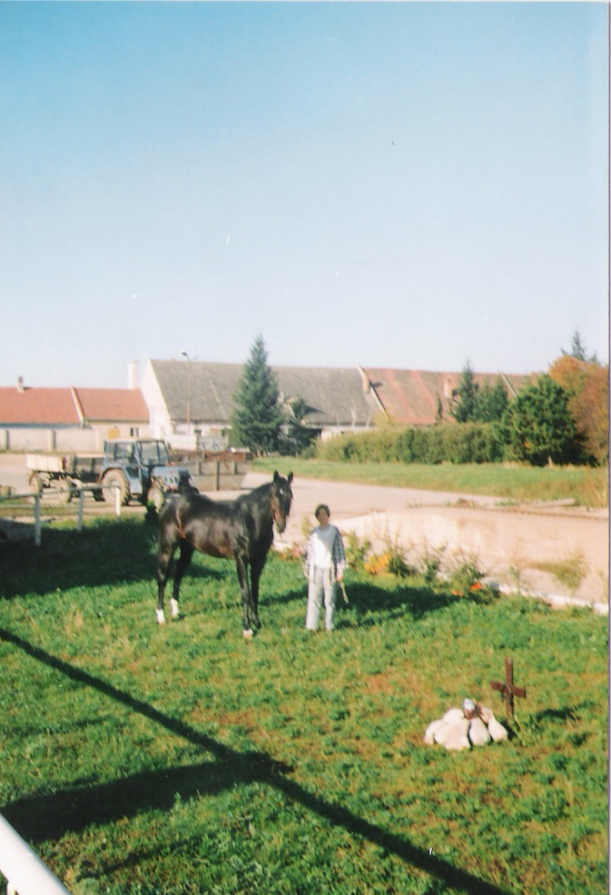 Fundament13.jpg