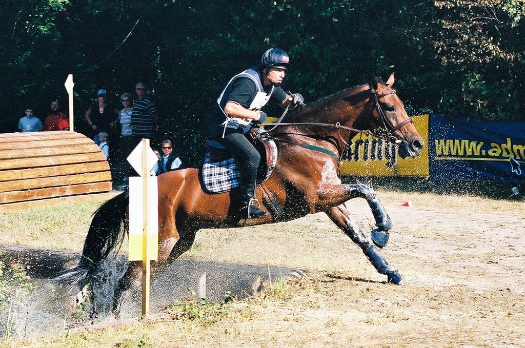 Diringer-Esej 03.jpg