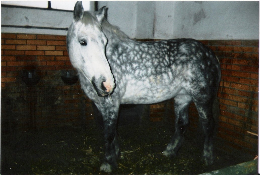 míla3.jpg
