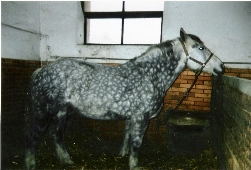květa2.jpg