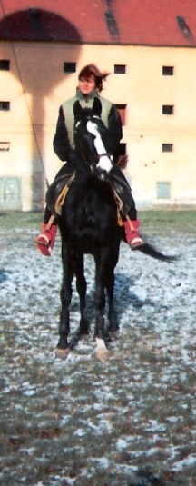 ostřice.jpg